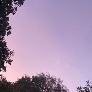 Meet your Posher, Francesca